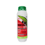 CEBO P/HORMIGAS MANCHESTER