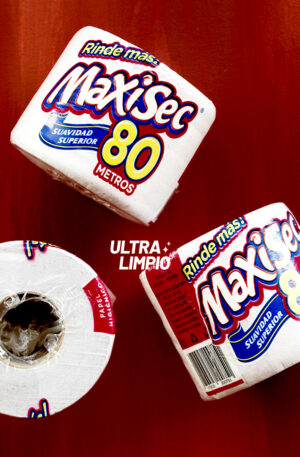 PAPEL HIGIENICO MAXISEC X80m