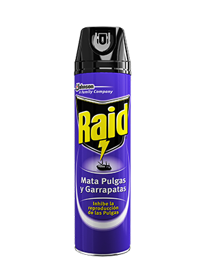 AEROSOL RAID POLILLAS
